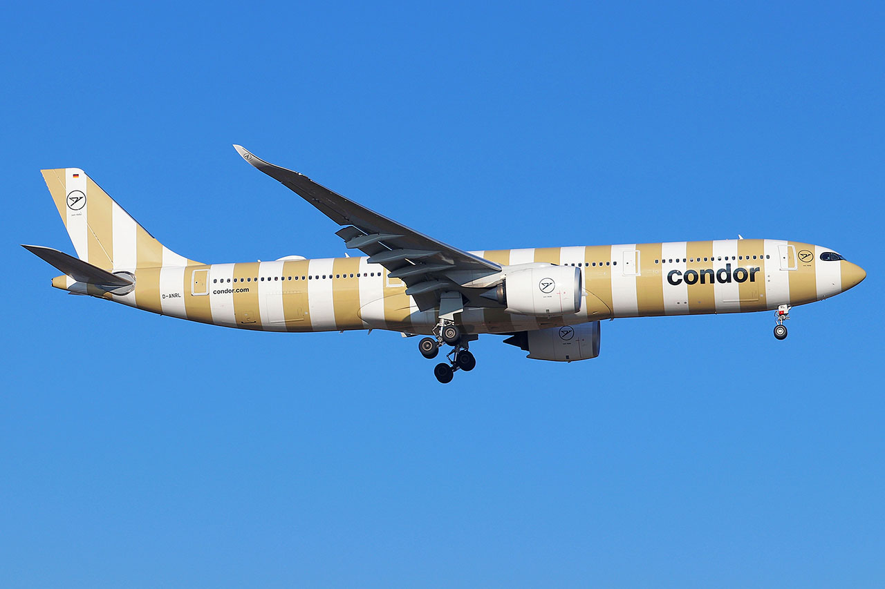 ./assets/img/aircraft/D-CFG-A339-3.jpg