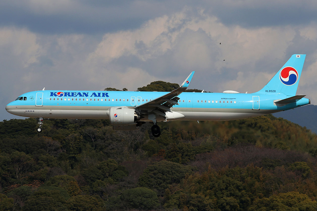 ./assets/img/aircraft/HL-KAL-A321-1.jpg