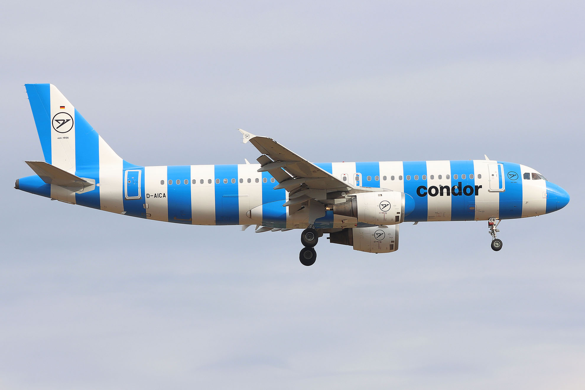 ./assets/img/aircraft/D-CFG-A320-16.jpg