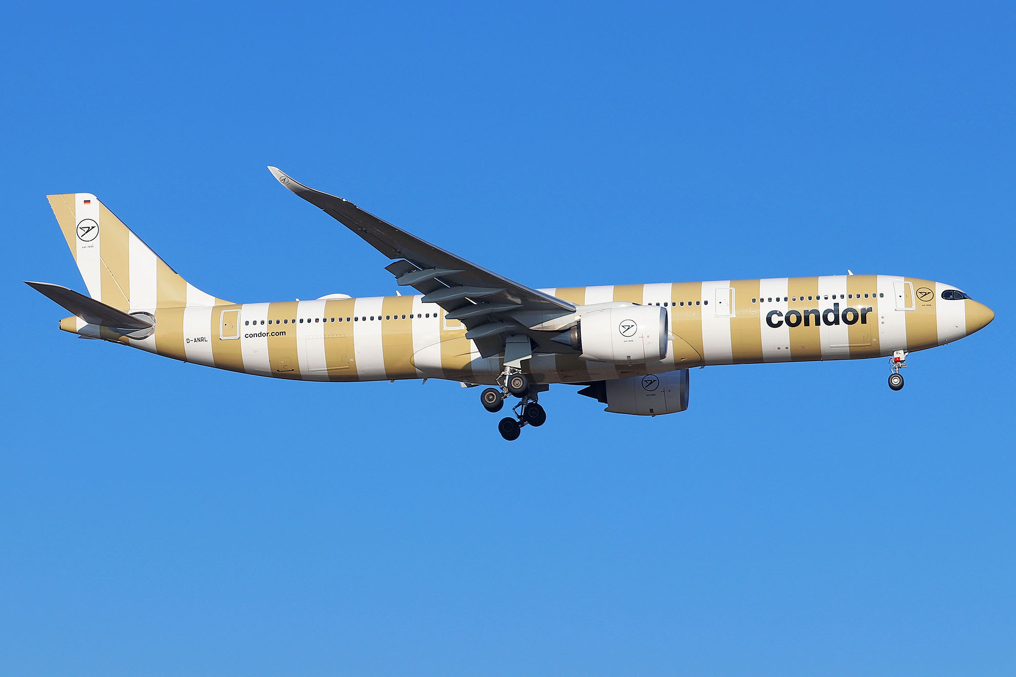 ./assets/img/aircraft/D-CFG-A339-3.jpg