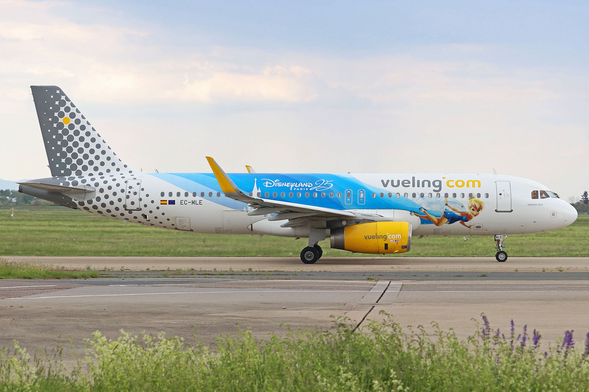 ./assets/img/aircraft/EC-VLG-A320-14.jpg