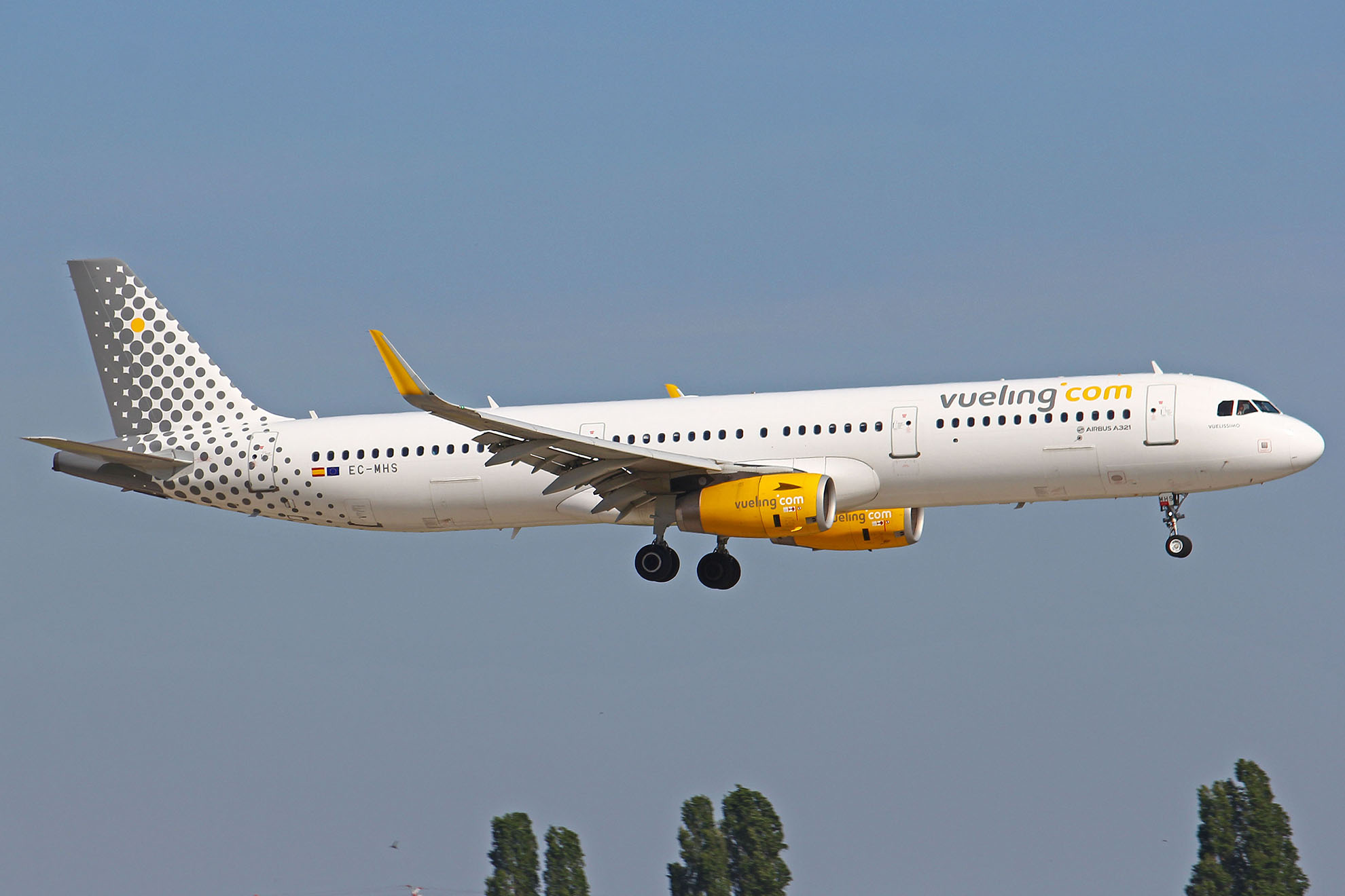 ./assets/img/aircraft/EC-VLG-A321-1.jpg